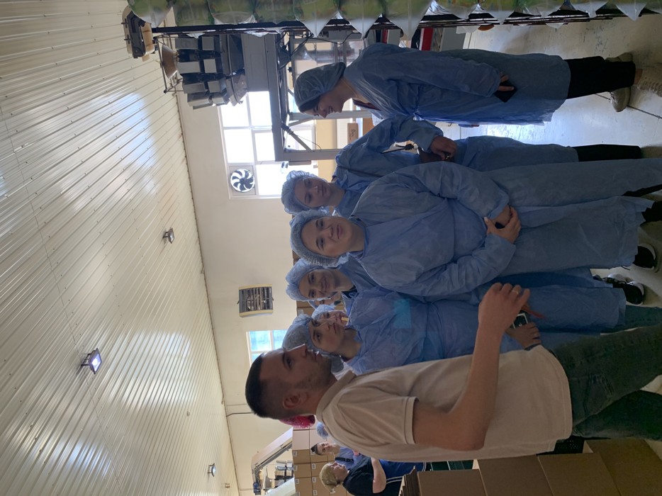 image_67219713