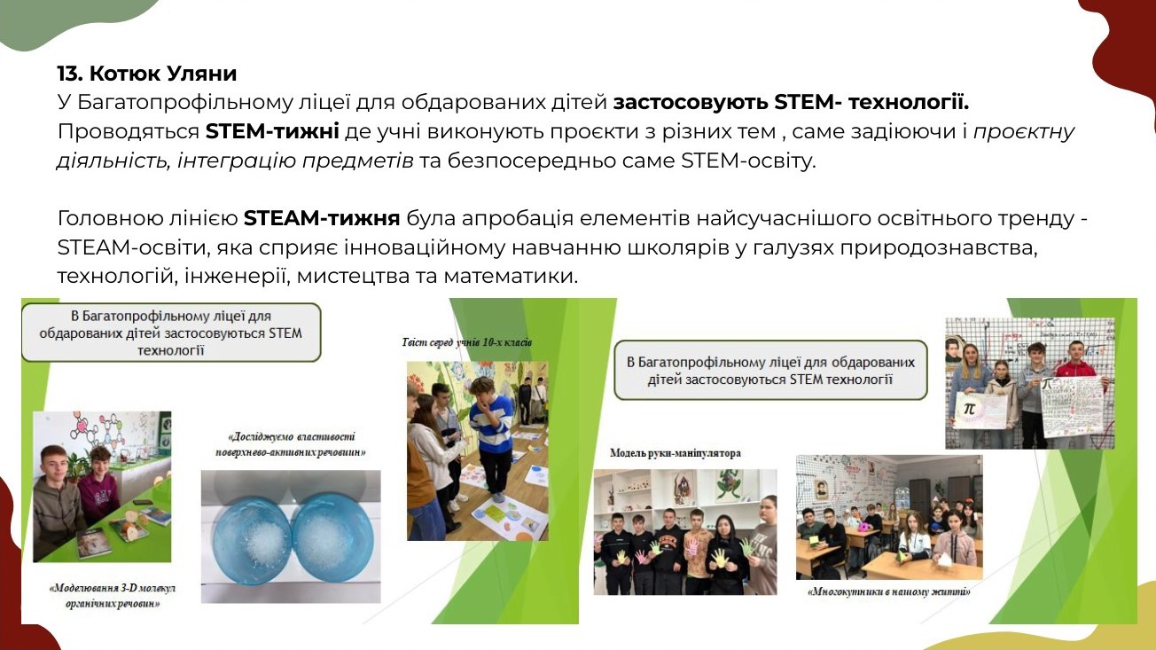 stem-4