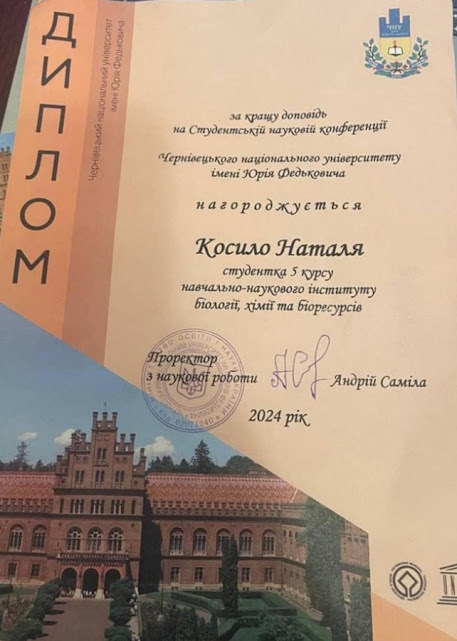 dyplom-kosylo