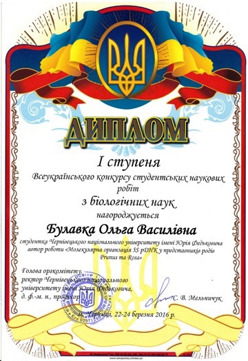 bulavka_konkurs_s