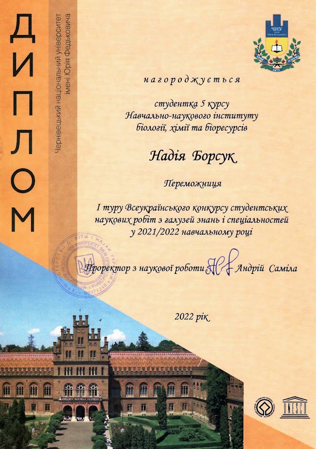 borsuk
