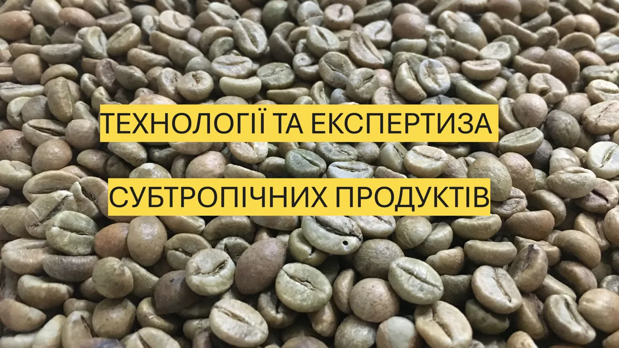 Винесення проєкту нової освітньої програми на суспільне обговорення