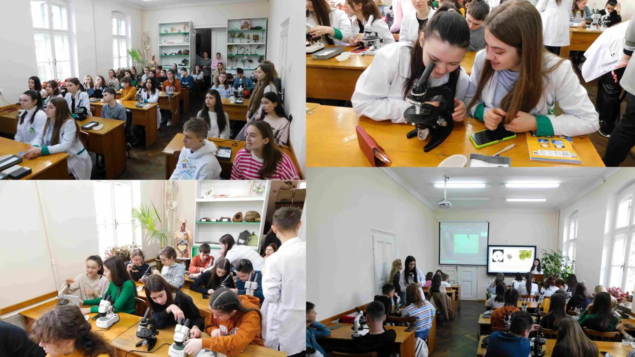 Мікросвіт навколо нас