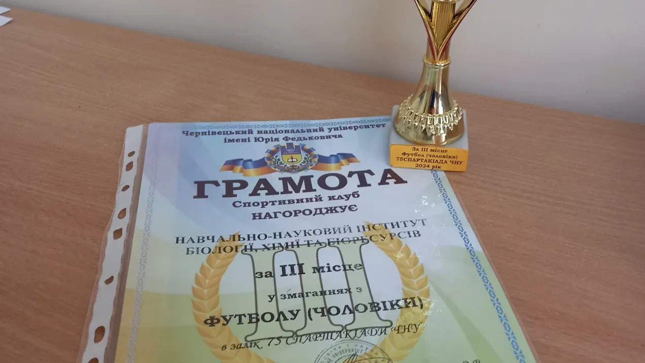 Кубок